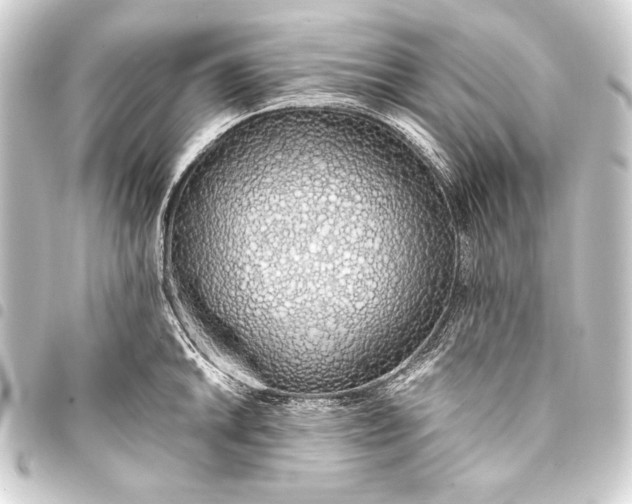 X0000093411046200711020951