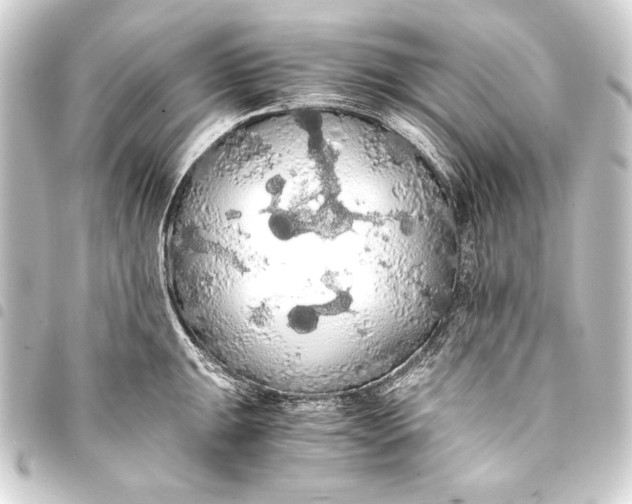 X0000093411047200711020951