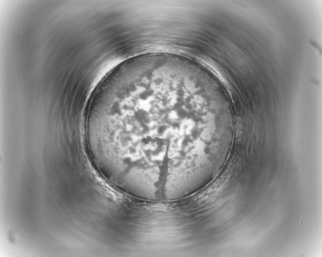 X0000093411048200711020951