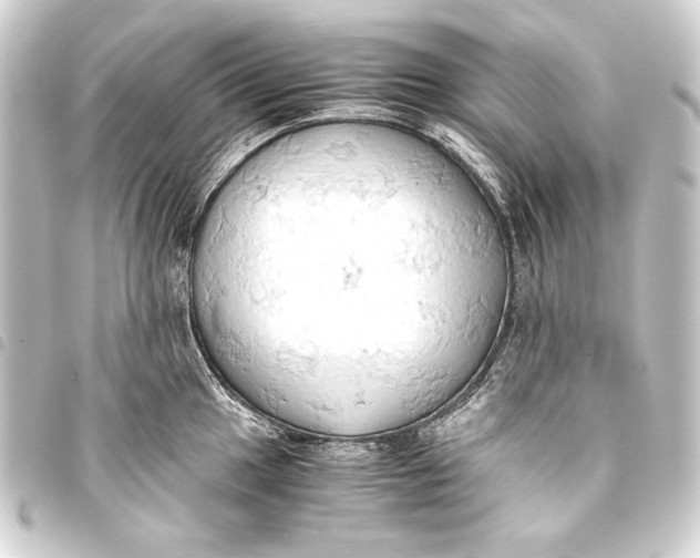 X0000093411049200711020951