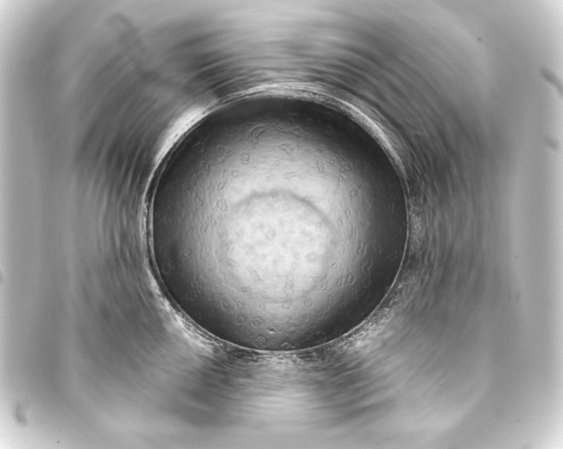 X0000093411050200711020951