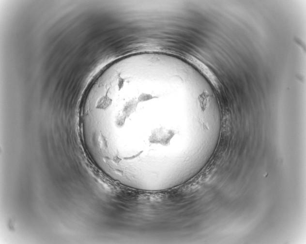 X0000093411051200711020951