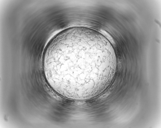 X0000093411052200711020951