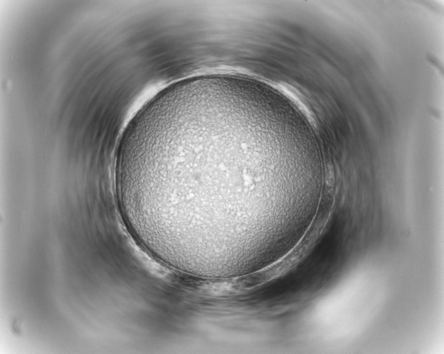 X0000093411054200711020951