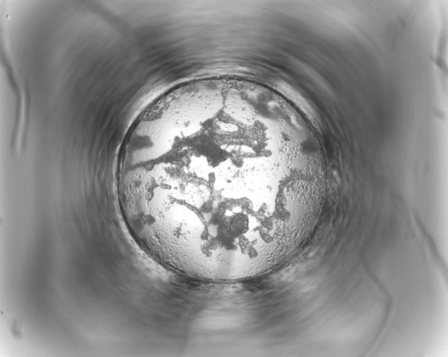 X0000093411055200711020951