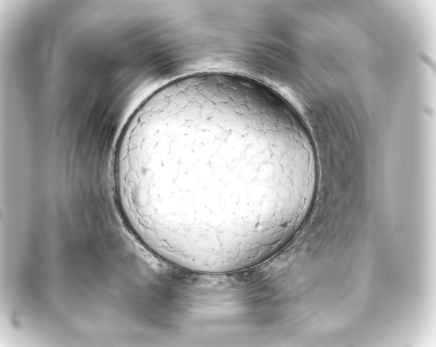 X0000093411056200711020951