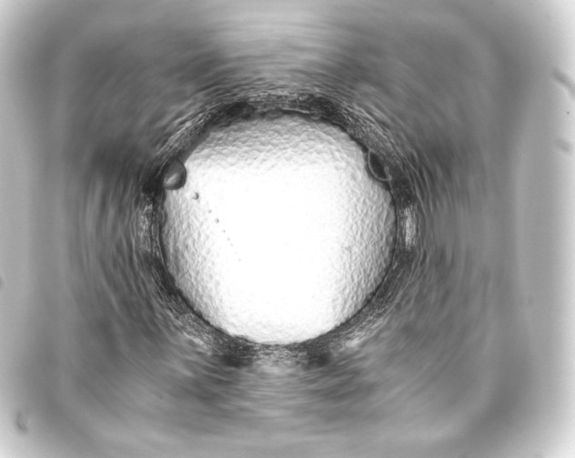 X0000093411059200711020950