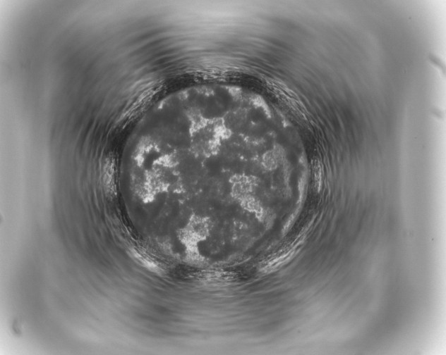 X0000093411060200711020950