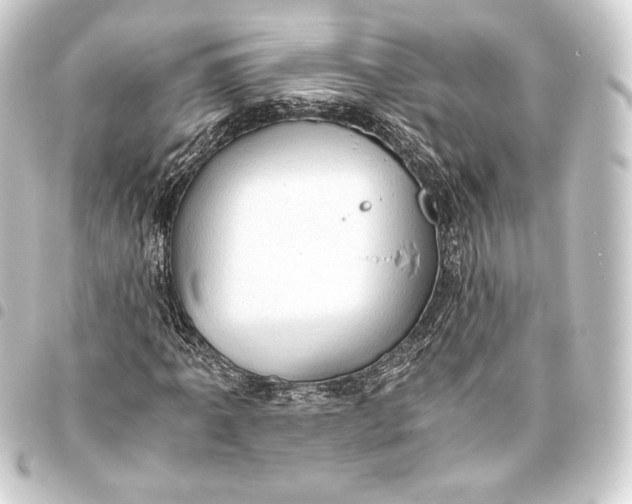 X0000093411061200711020950