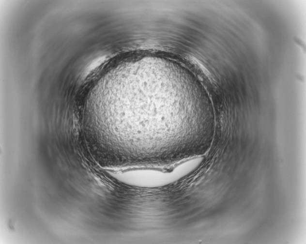 X0000093411064200711020950