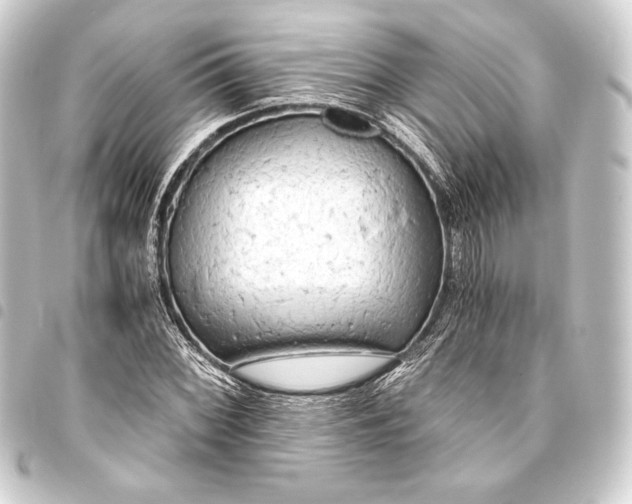 X0000093411068200711020950