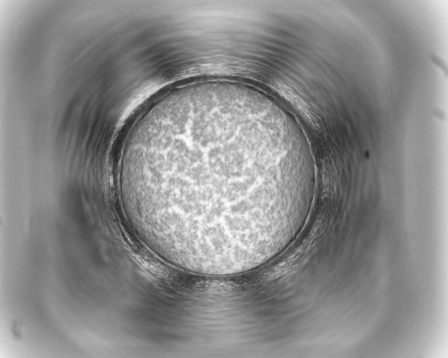 X0000093411070200711020950