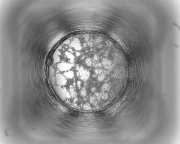 X0000093411071200711020950