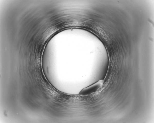 X0000093411073200711020950