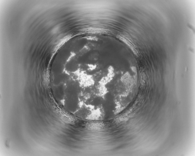 X0000093411074200711020950