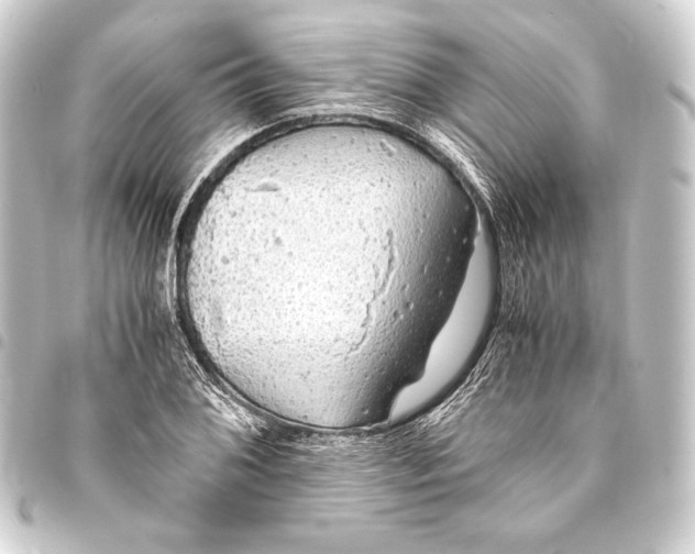 X0000093411076200711020950