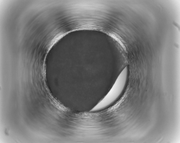 X0000093411077200711020950