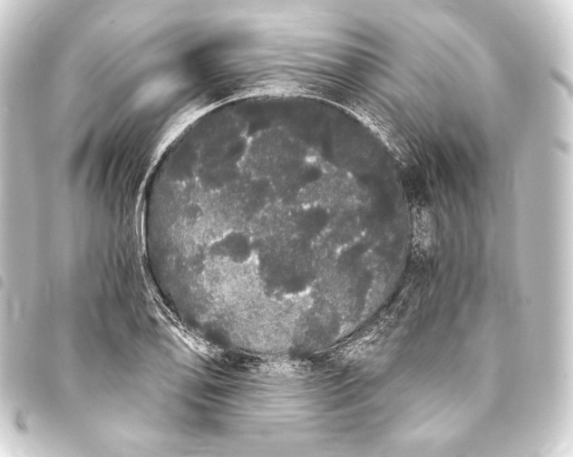 X0000093411078200711020950