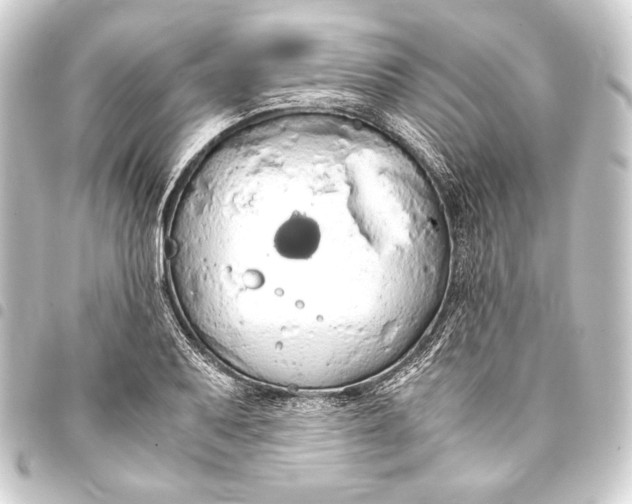 X0000093411079200711020950