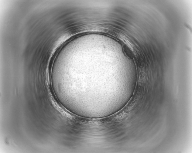 X0000093411080200711020950