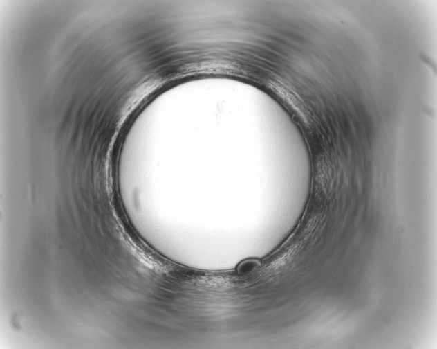 X0000093411082200711020950