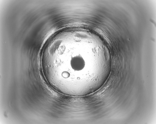 X0000093411083200711020950