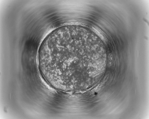 X0000093411084200711020950