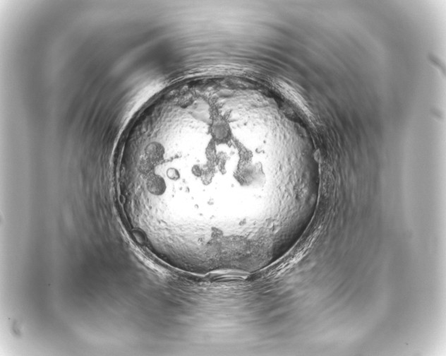 X0000093411087200711020950