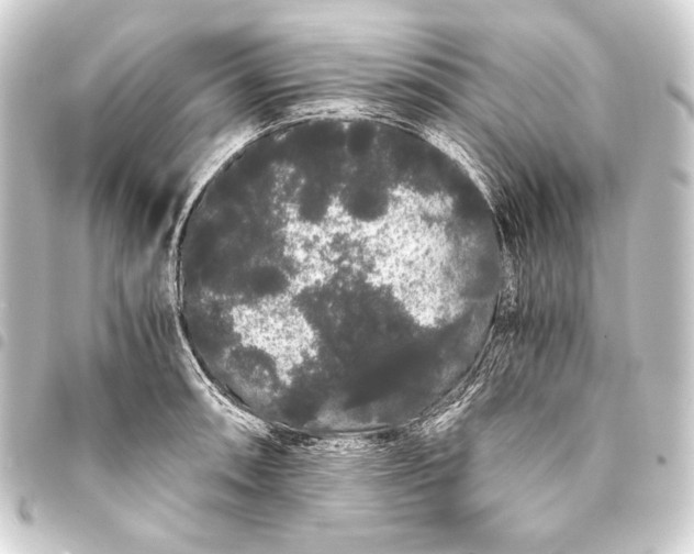 X0000093411090200711020950