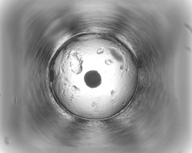 X0000093411091200711020950