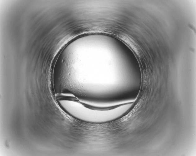 X0000093411093200711020950