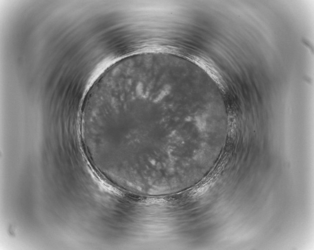 X0000093411094200711020950