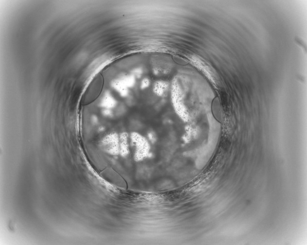 X0000093411095200711020950