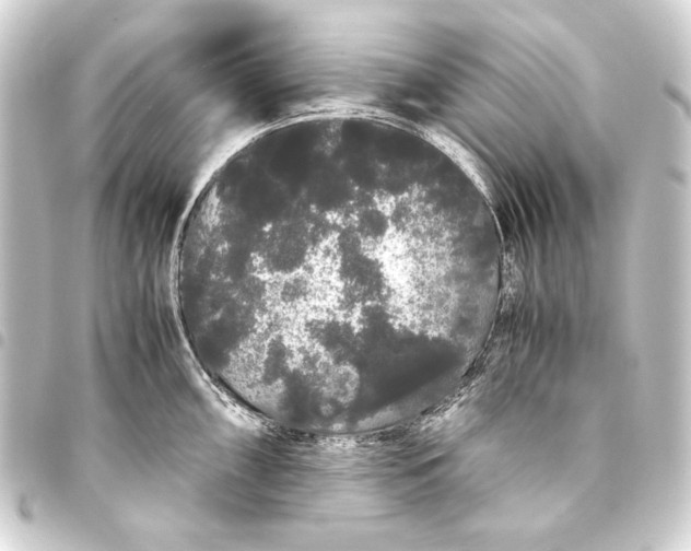 X0000093411098200711020950