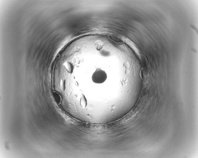 X0000093411099200711020950