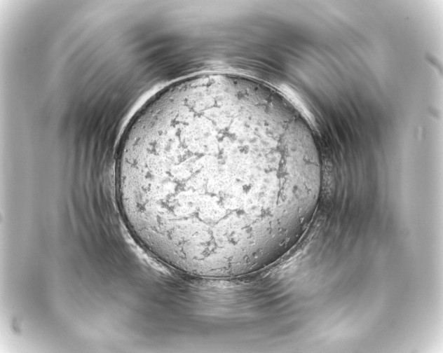 X0000093411100200711020950