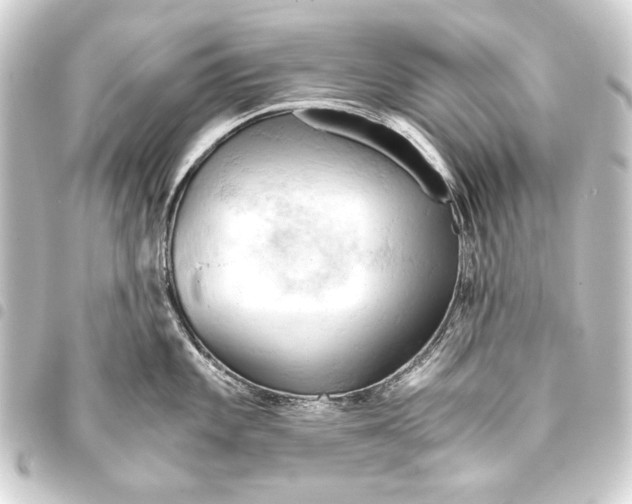 X0000093411101200711020950