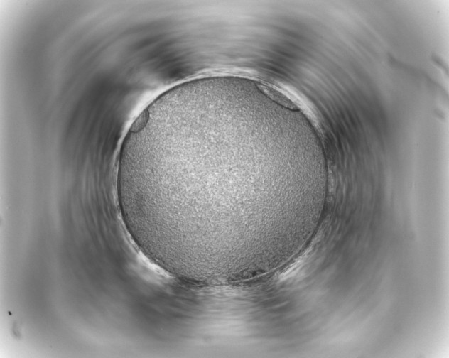 X0000093411102200711020949