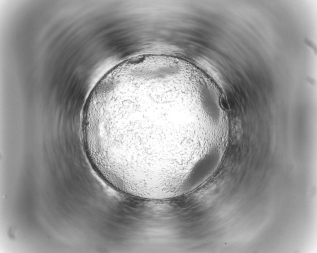 X0000093411103200711020949