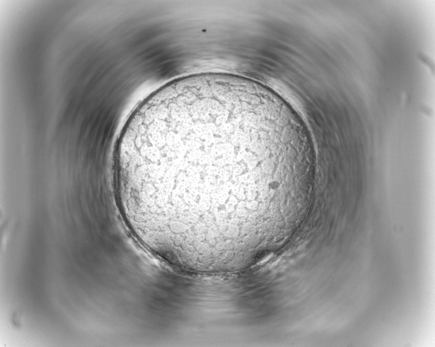 X0000093411104200711020949