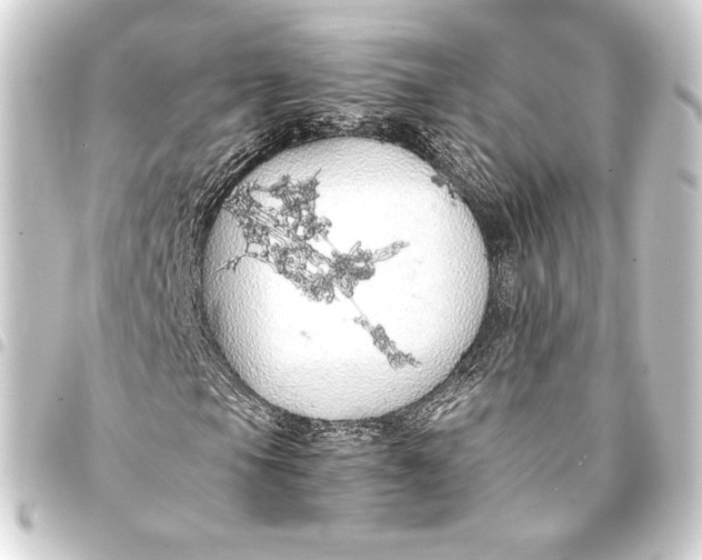 X0000093411105200711020949