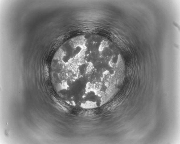 X0000093411106200711020949