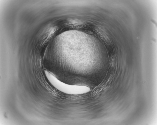 X0000093411108200711020949