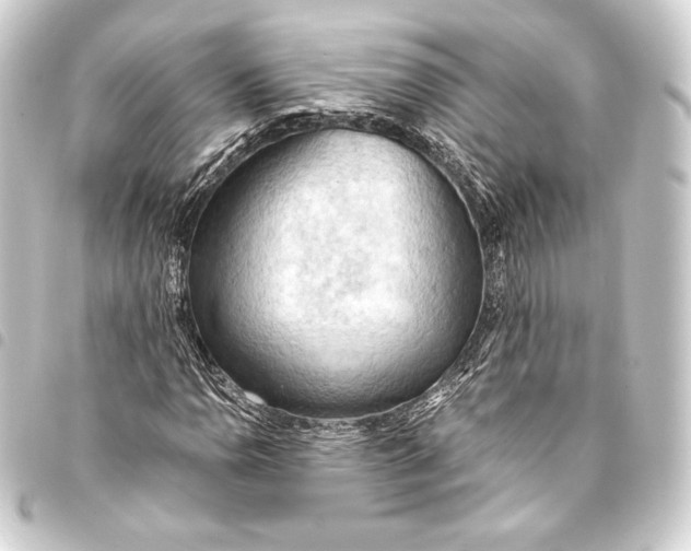 X0000093411110200711020949