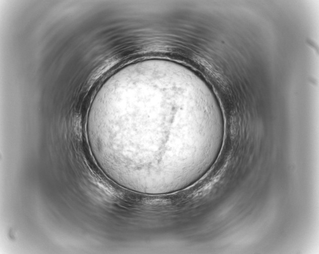 X0000093411113200711020949