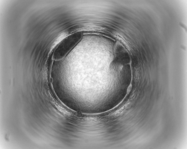 X0000093411114200711020949