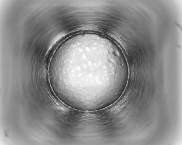 X0000093411115200711020949