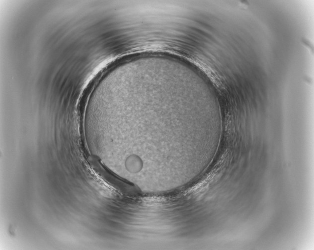 X0000093411118200711020949