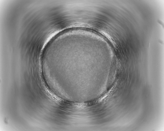 X0000093411120200711020949