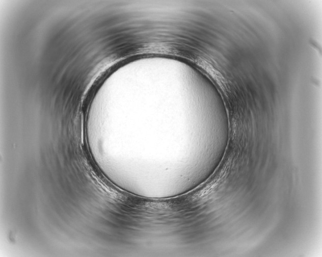 X0000093411123200711020949